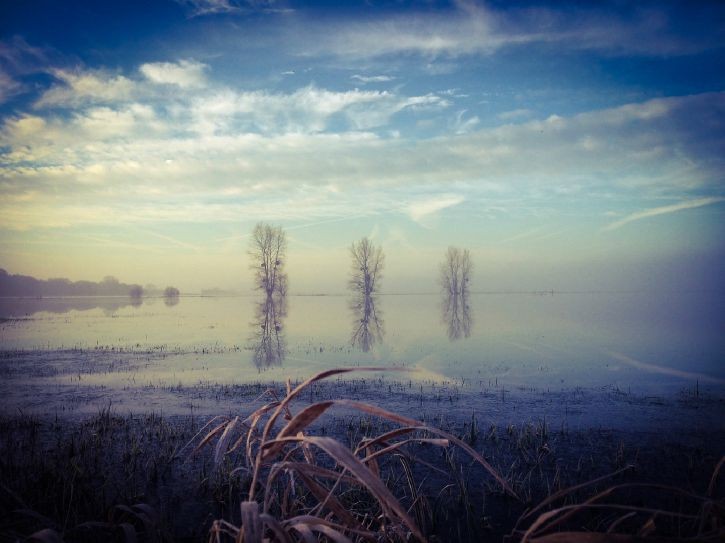 Graignes Marais : Winters day